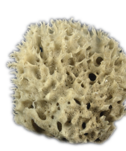 Honeycomb badesvamp 3½