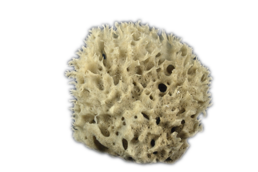 Honeycomb badesvamp 3½" - 4" - Natur
